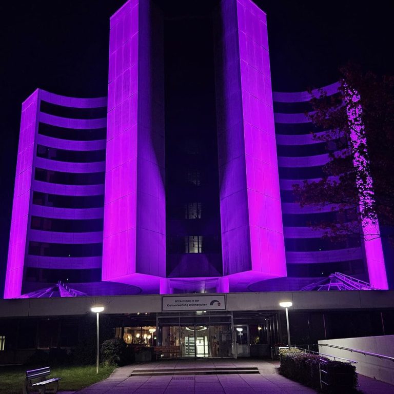 Pinktober in Heide - Kreishaus Pinktober in Heide - Kreishaus